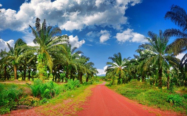 cambodia